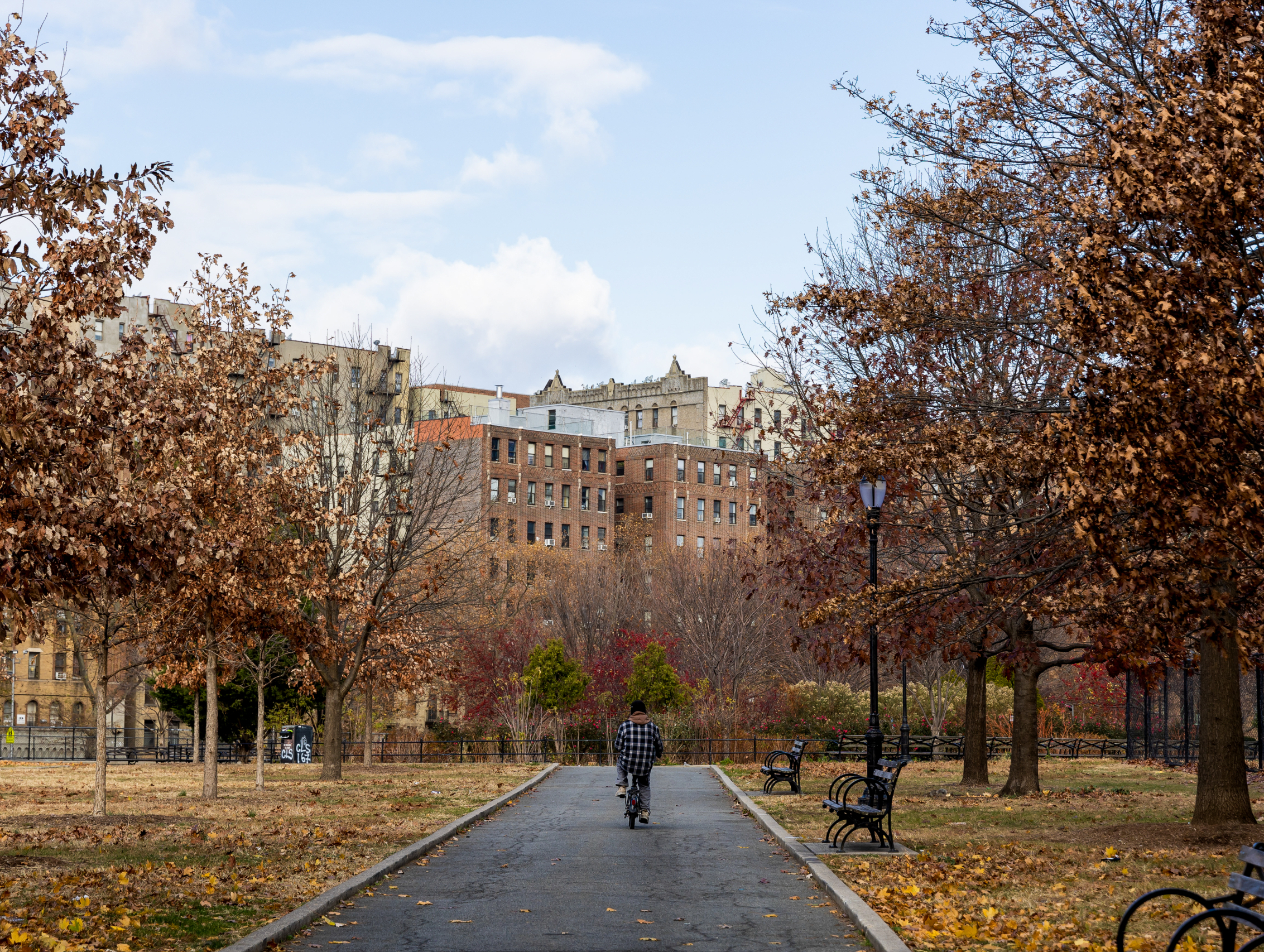 Increasing Access to Green Space for Health