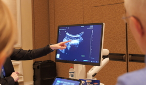 iUSCAN demonstrates how to do an intestinal ultrasound at CCCongress.