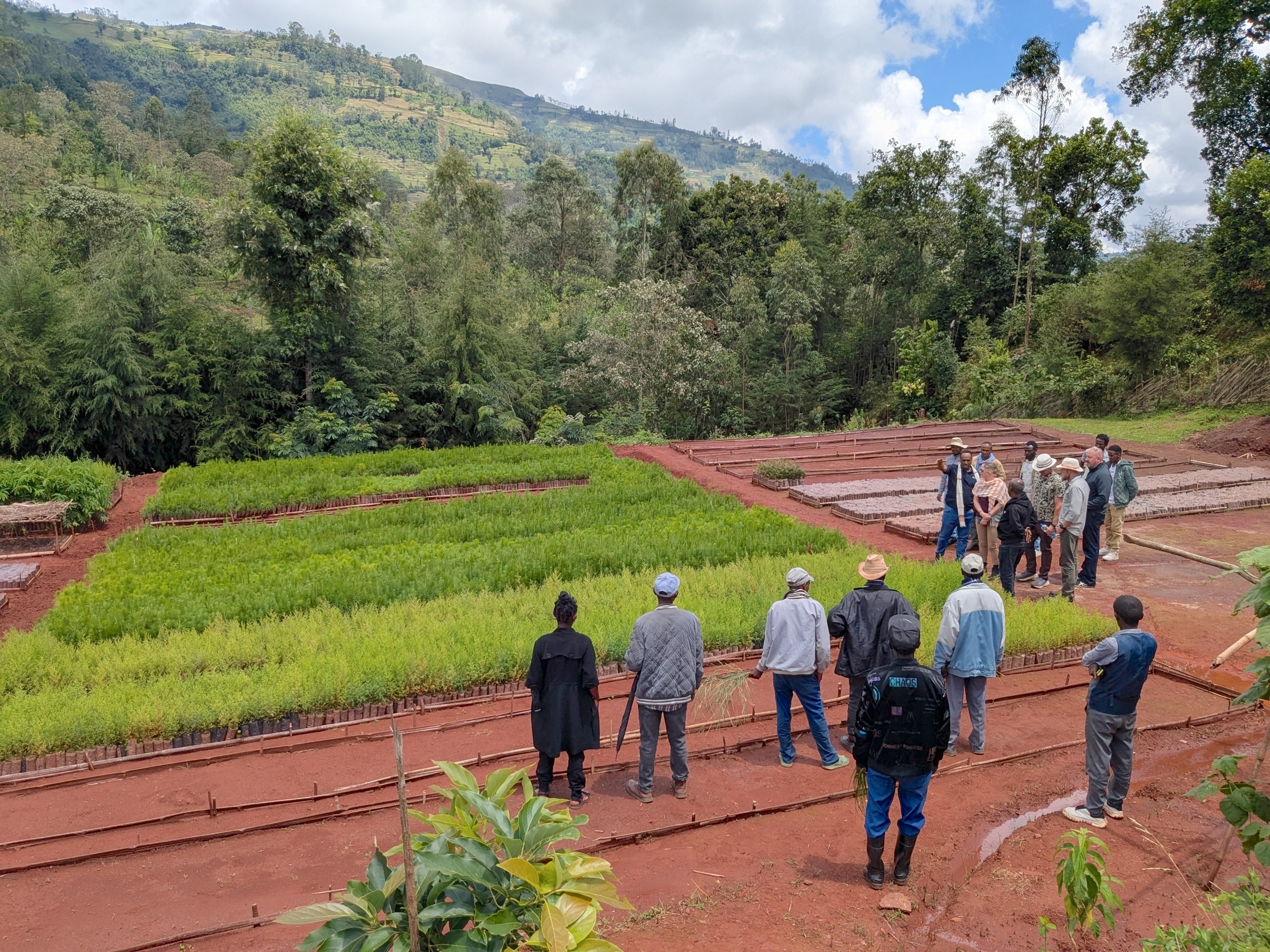 People standing around a tree nursery.