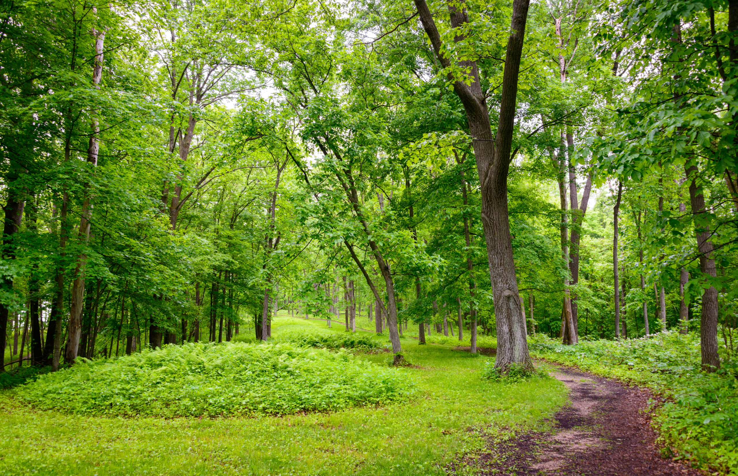 Effigy Mounds Visitor Center to Undergo Renovations Made Possible by $3.5 Million in Philanthropic Support Through the National Park Foundation