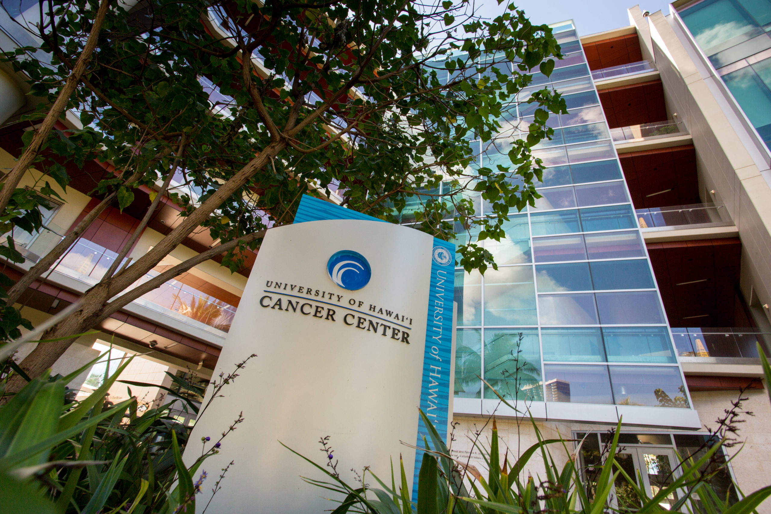 UH Cancer Center sign with center in background